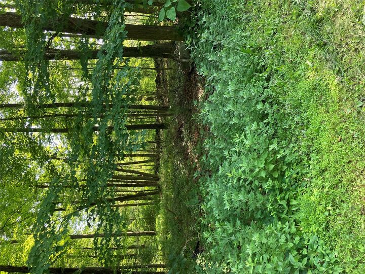 Property Photo:  15A Adam Wagner Lane  NY 10541 