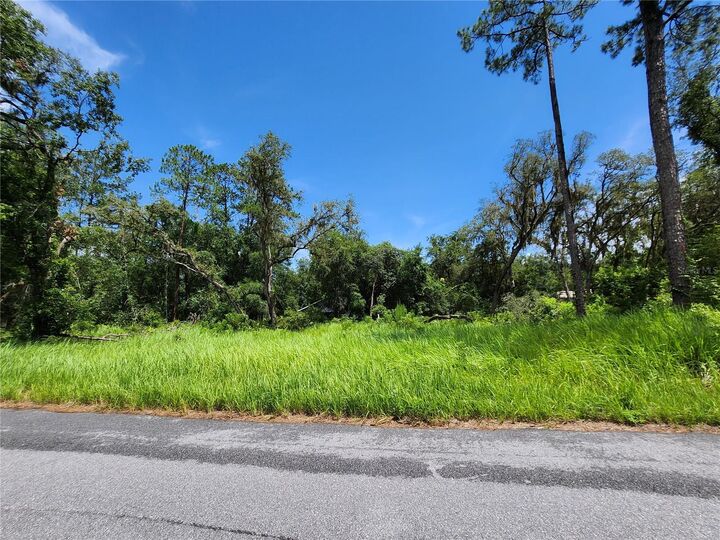 Tbd Oak Lane Way  Ocala FL 34472 photo