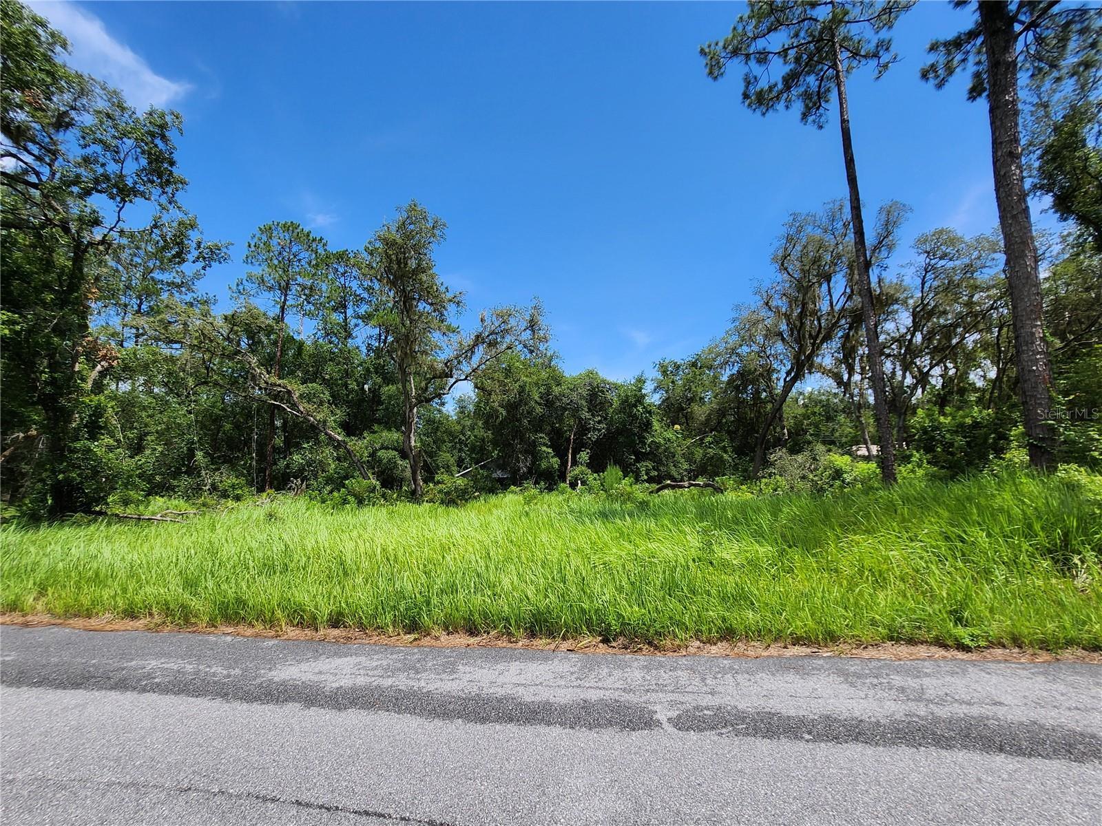 Property Photo: Tbd Oak Lane Way FL 34472