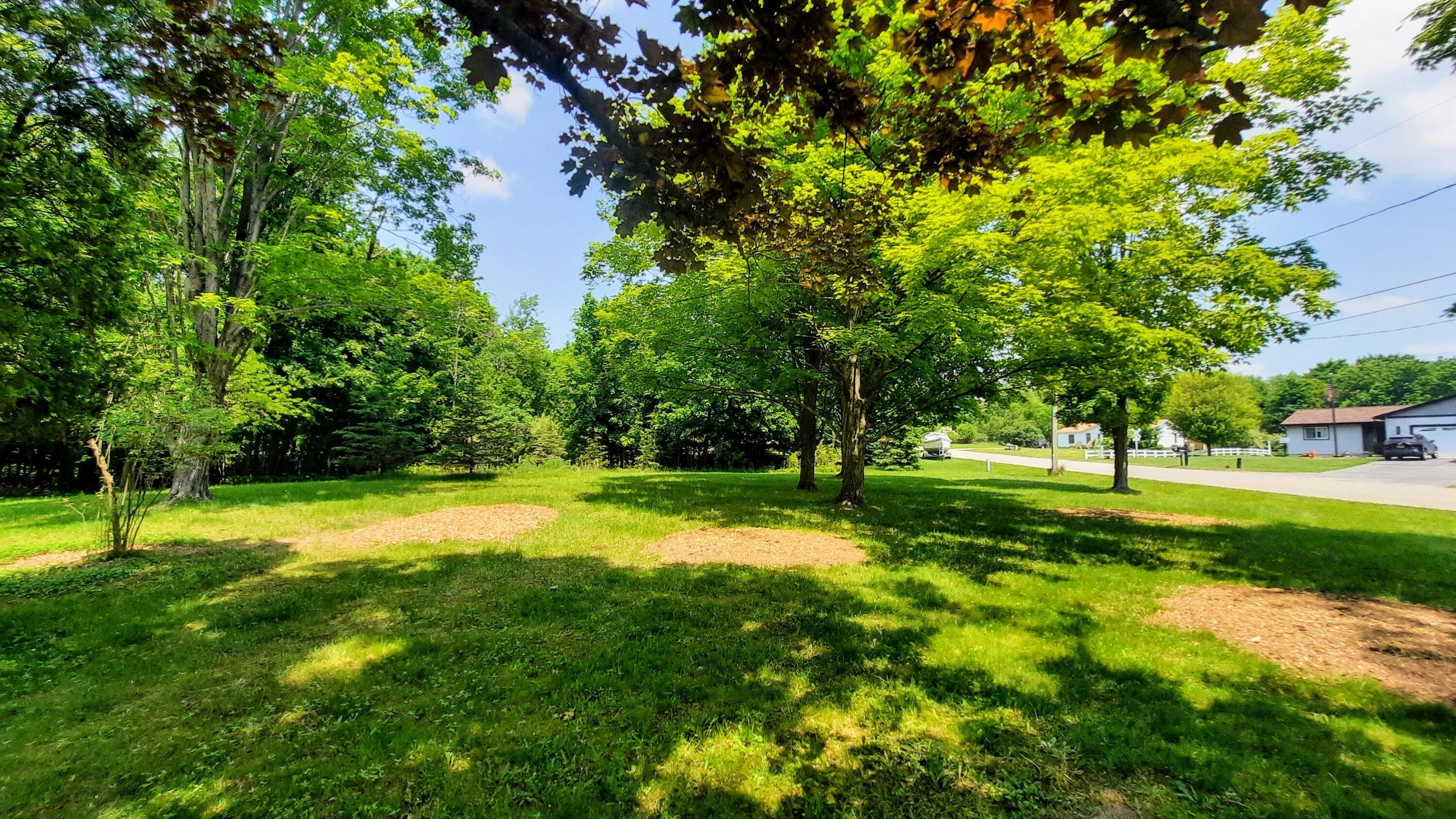 Property Photo: 9 Acres, Third Street MI 49675