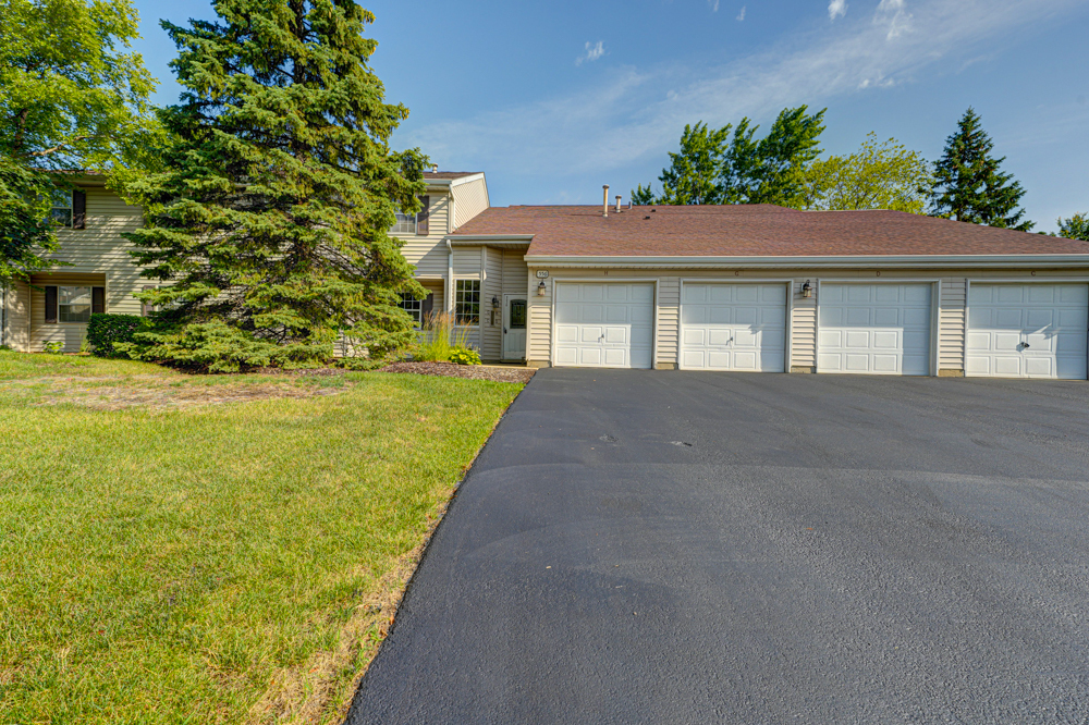Property Photo: 556 E Shagbark Lane C IL 60107
