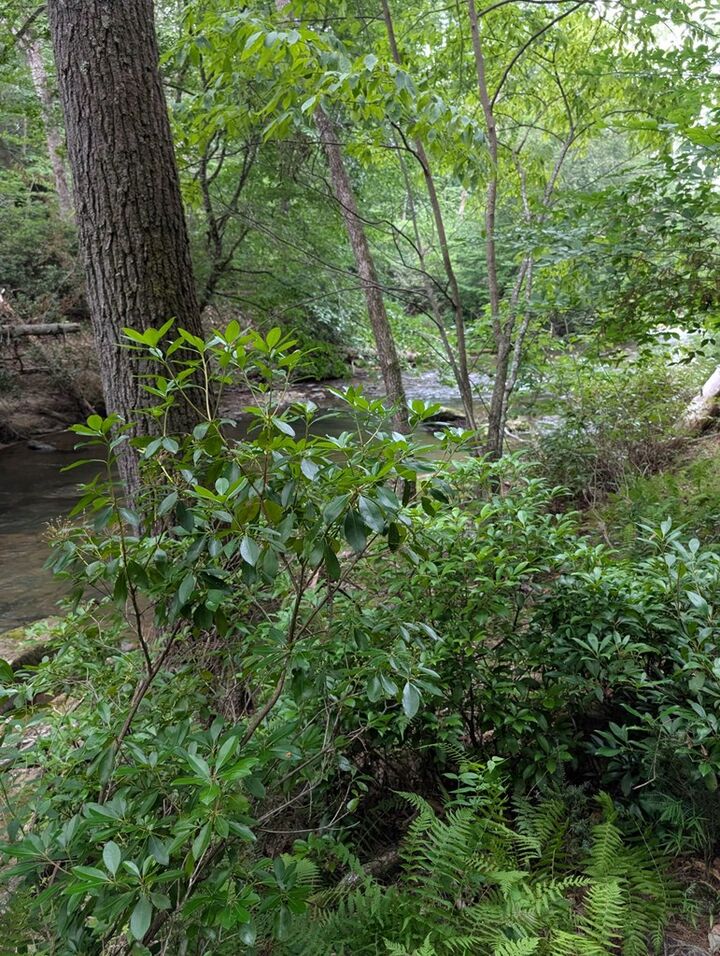 Property Photo:  Lot  32 Byers Road  GA 30512 