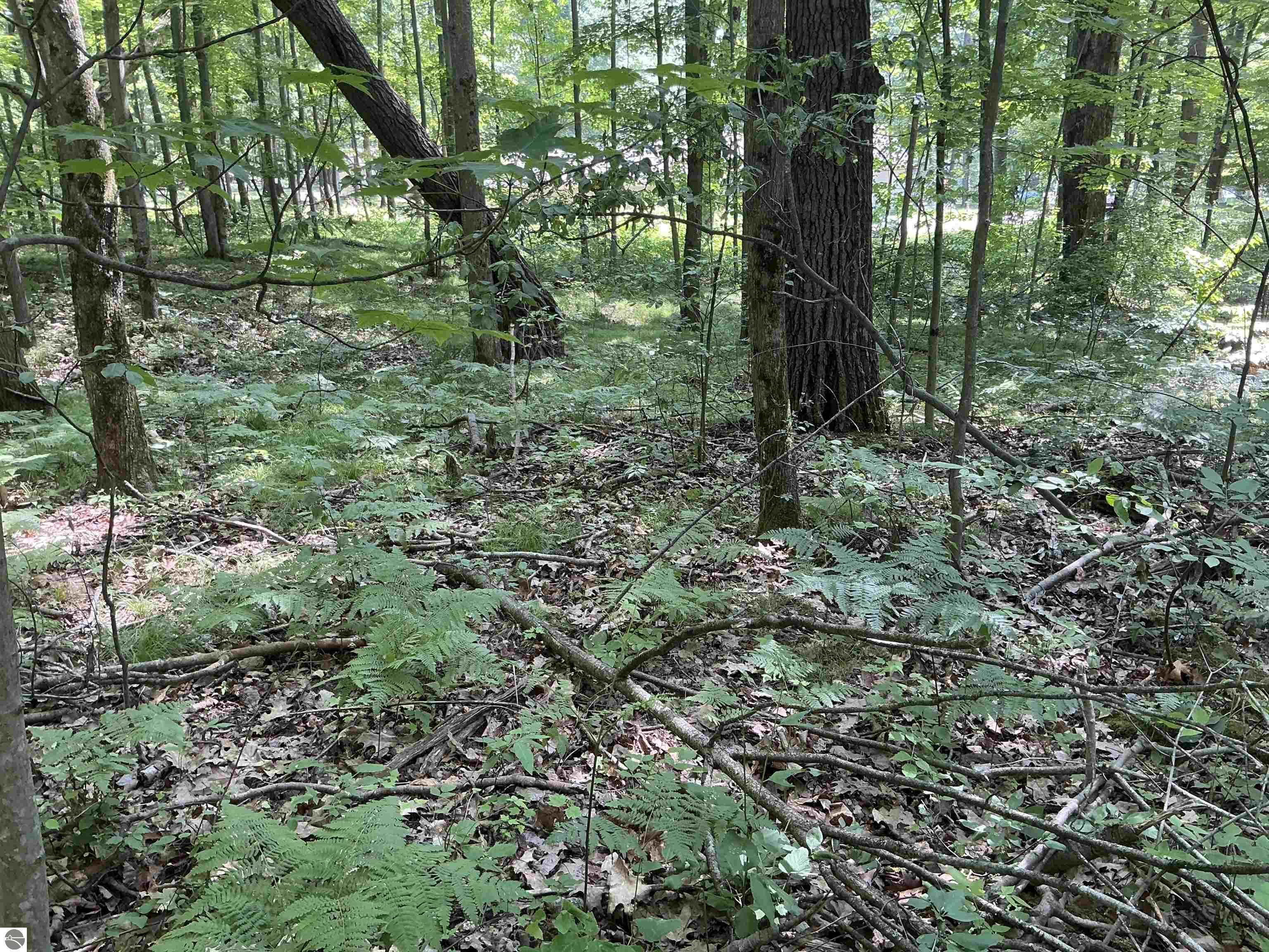 Property Photo: 115 W Ridge Circle MI 49655