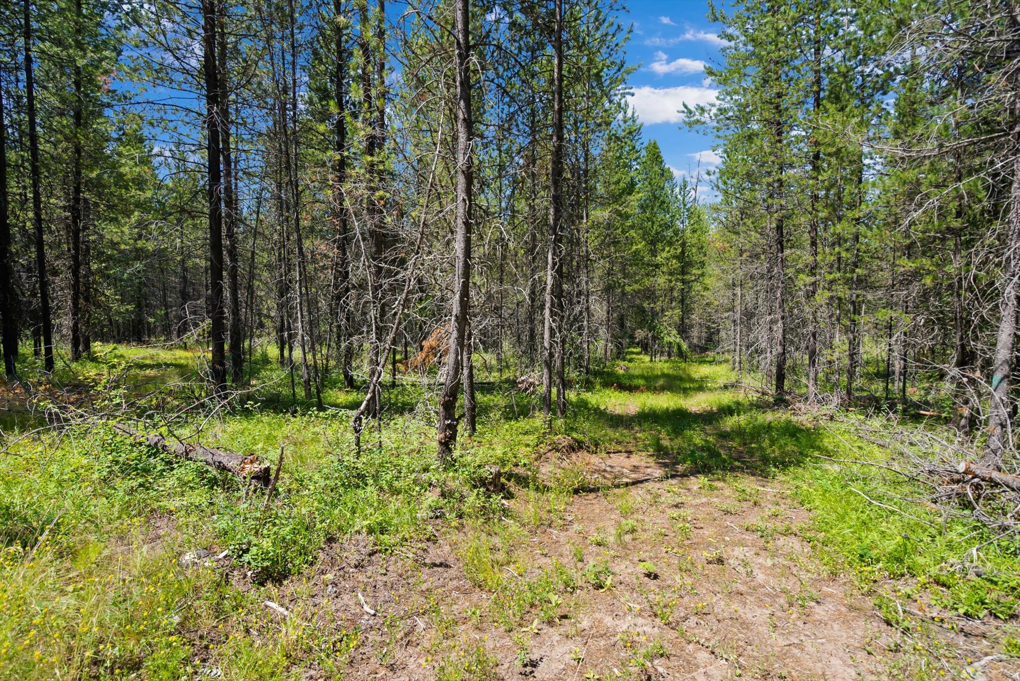 Property Photo: 298 Kuzmic Lane MT 59913