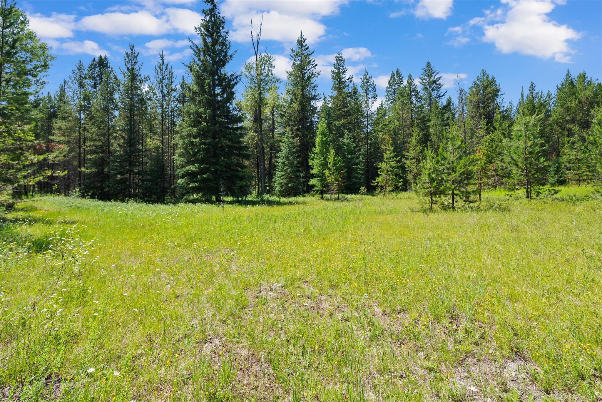 Property Photo:  298 Kuzmic Lane  MT 59913 