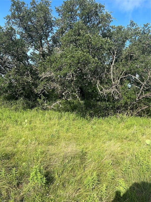 Property Photo: 2200 Fm 1467 S TX 76890