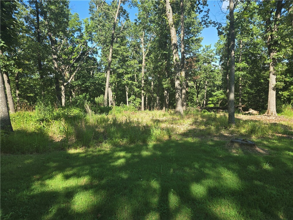 Property Photo:  Esculapia Hollow Road Lot 12  AR 72758 
