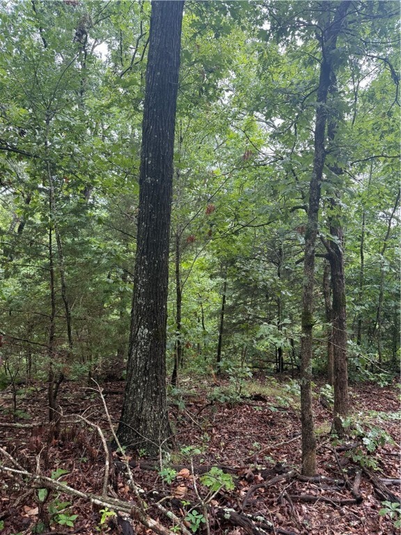Property Photo: Lot 7, Block 5 Banff Drive AR 72715