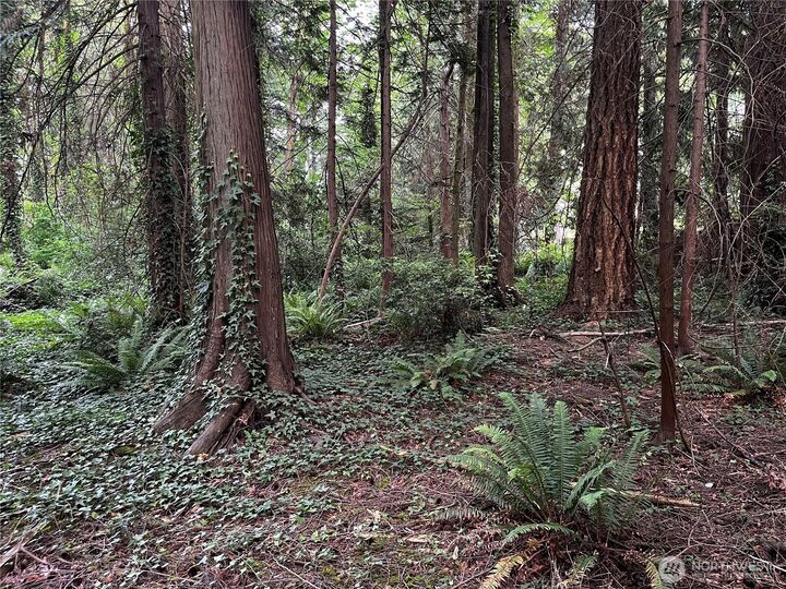 0 Xxx  Illahee Road  Bremerton WA 98311 photo