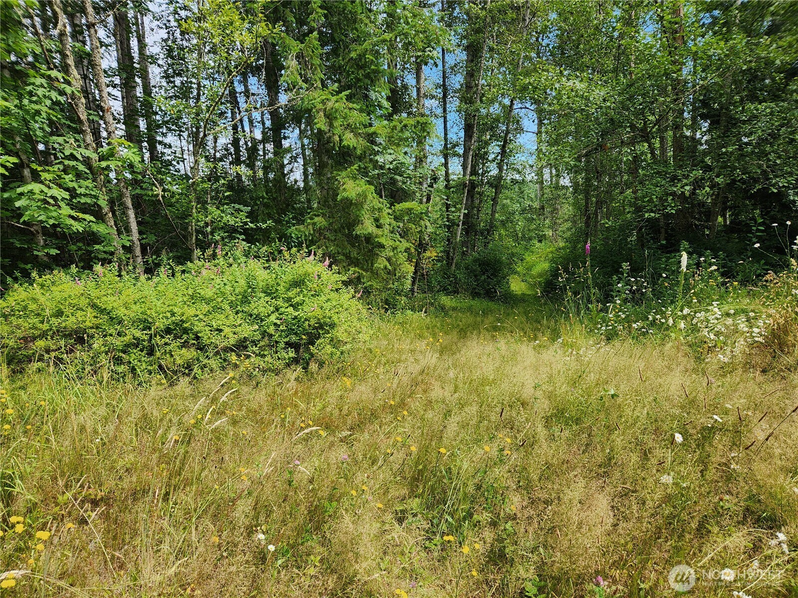 Property Photo: 408 Approx 239th Avenue NE WA 98074