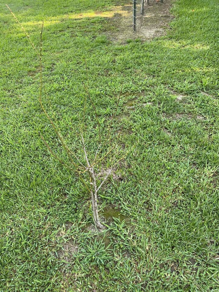 Property Photo:  0 Lee Ave  AR 72034 