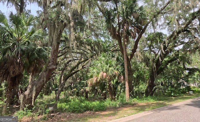 918 Wagner Lane  St. Marys GA 31558 photo