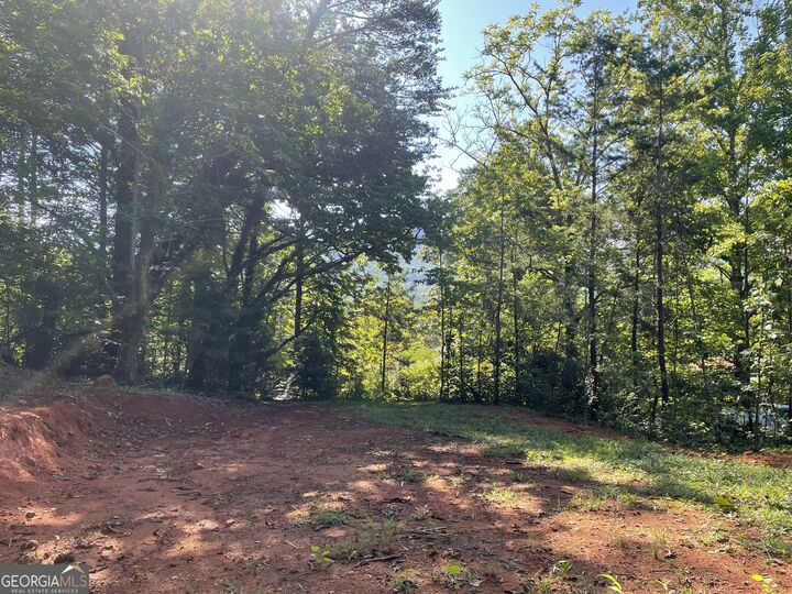 Property Photo:  0 Green Street  GA 30525 
