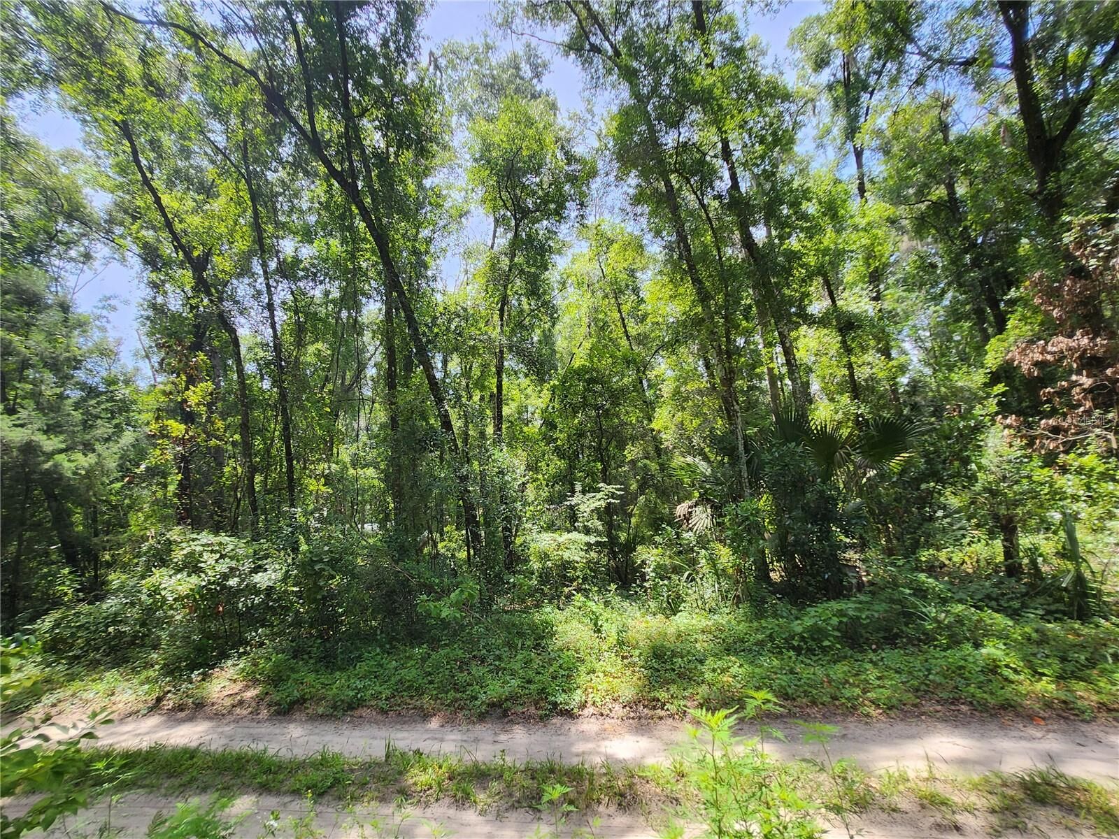 Property Photo: 3200 NE 167 Street FL 32113