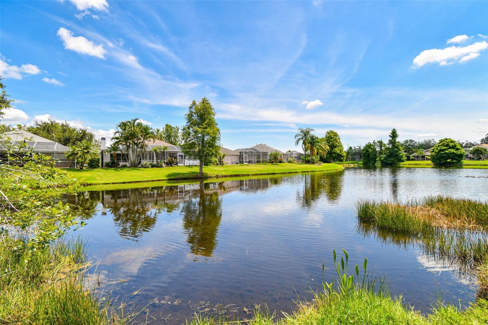 Property Photo: 10310 Millport Drive FL 33626
