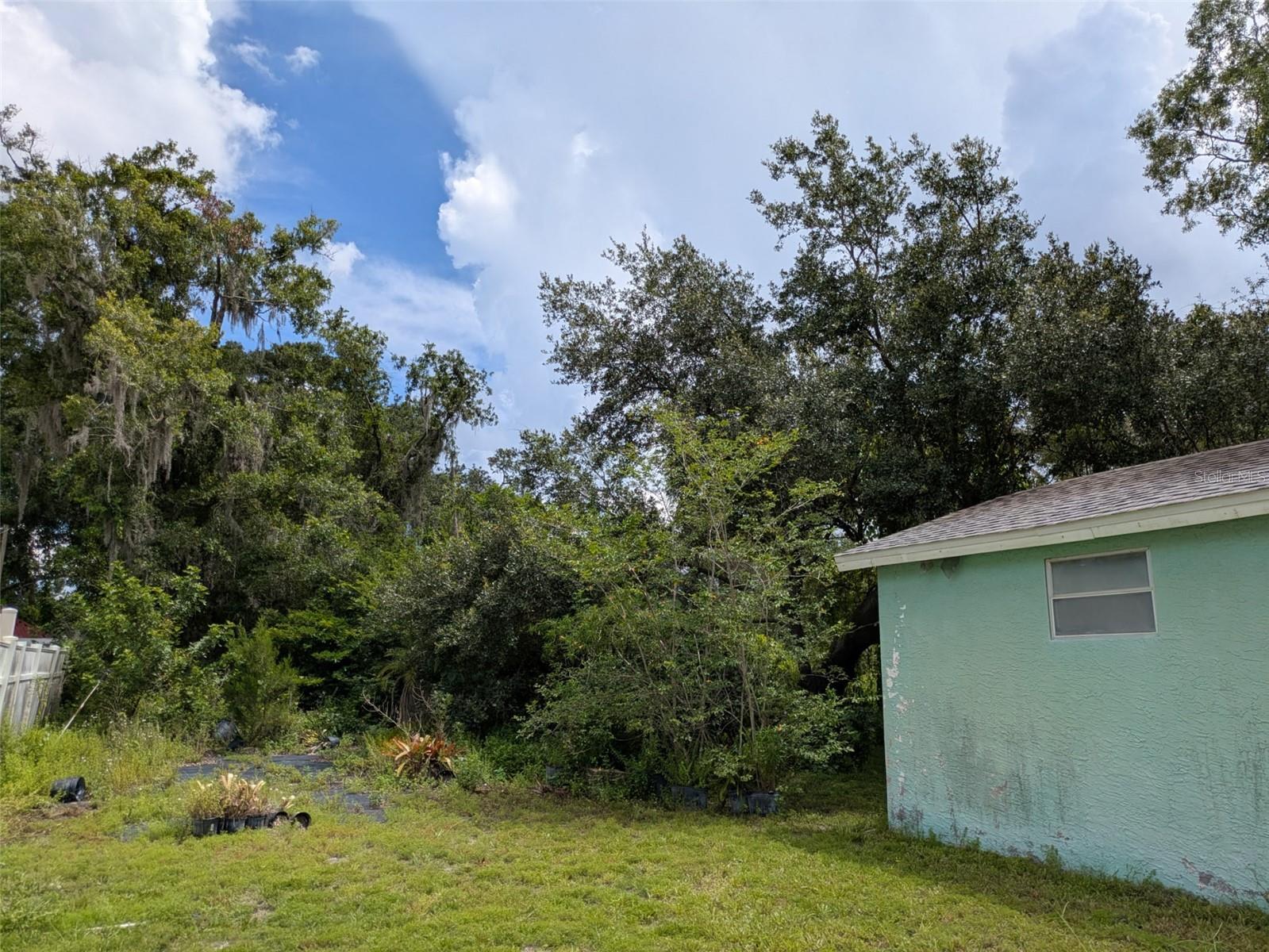 0 Avonwood Street  Tampa FL 33625 photo