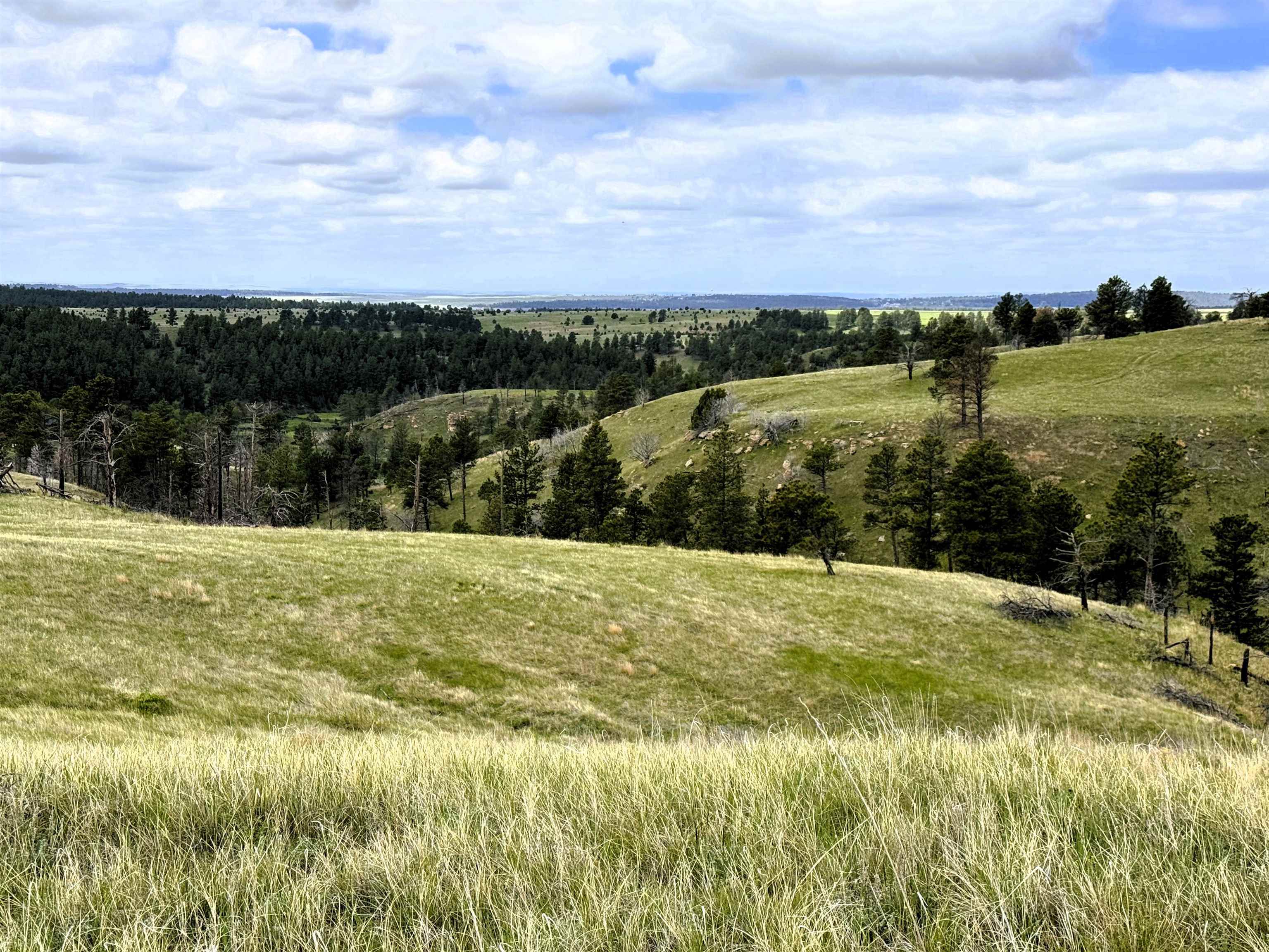 Tbd Gruenhagen Road  Moorcroft WY 82721 photo