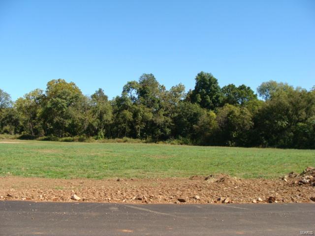 Property Photo: 0 Hwy 67 MO 63601