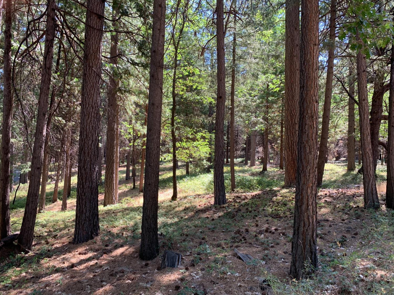 Property Photo: 12043 Pasquale Road CA 95959