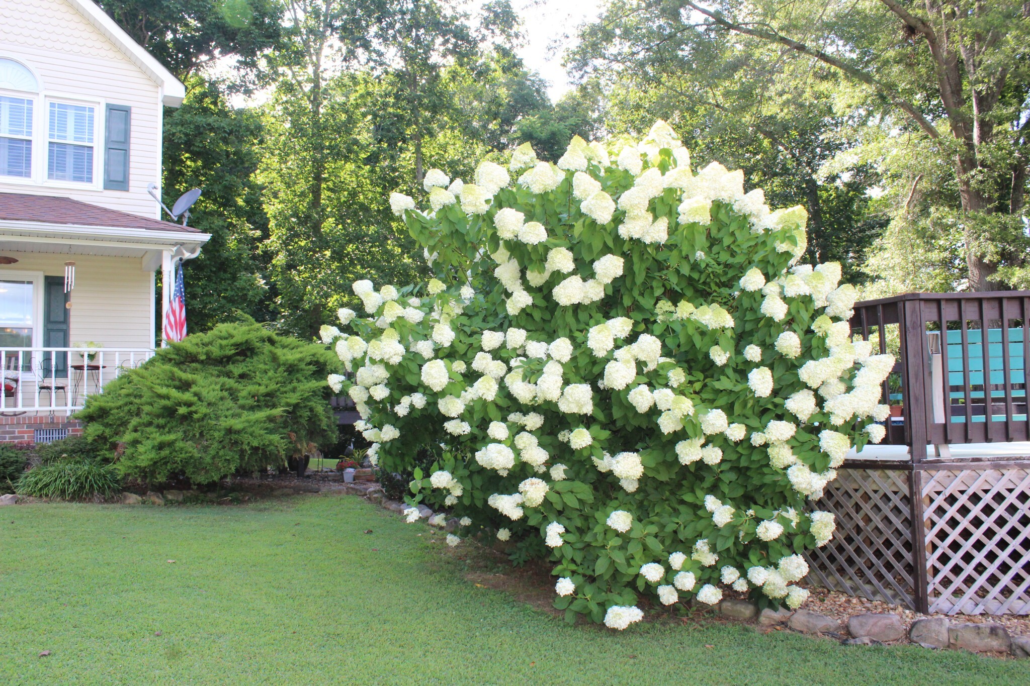 Property Photo: 170 Hillwood Dr TN 37330