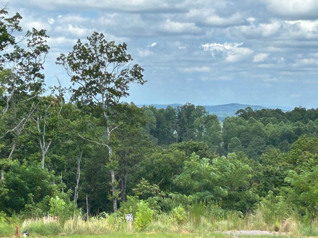 Property Photo:  Lt 95 Timberline Trail  GA 30540 