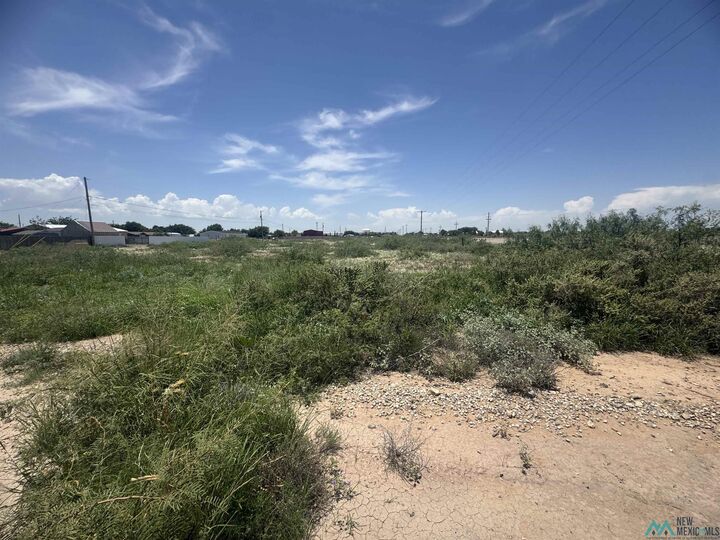 Property Photo:  W Of 3207 W Main Street  NM 88210 