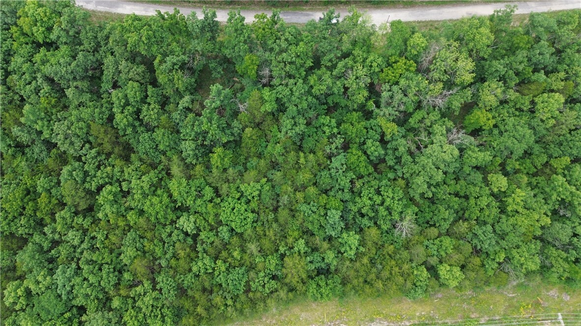 Property Photo:  Lot 10, Block 10 Haddock Lane  AR 72631 