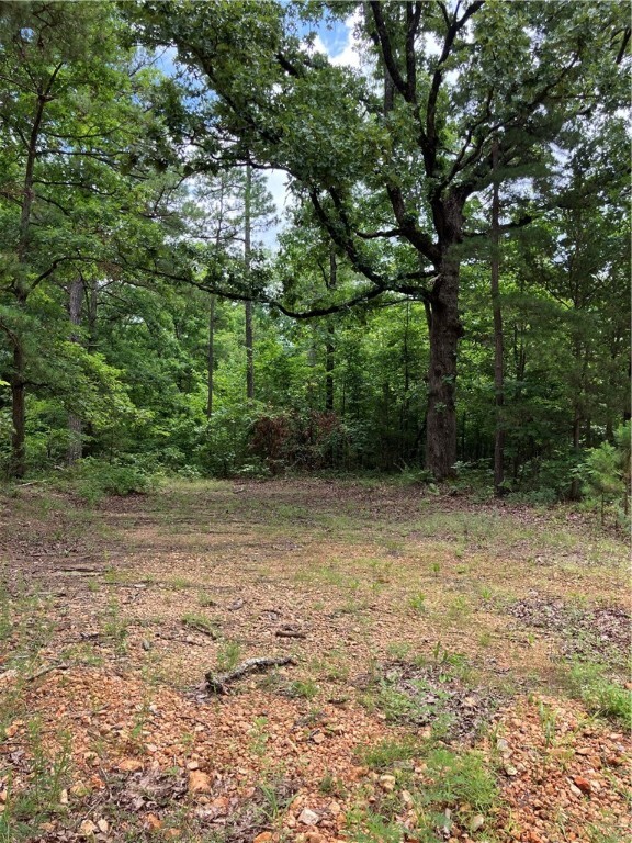 2960 Madison 1360  Huntsville AR 72740 photo