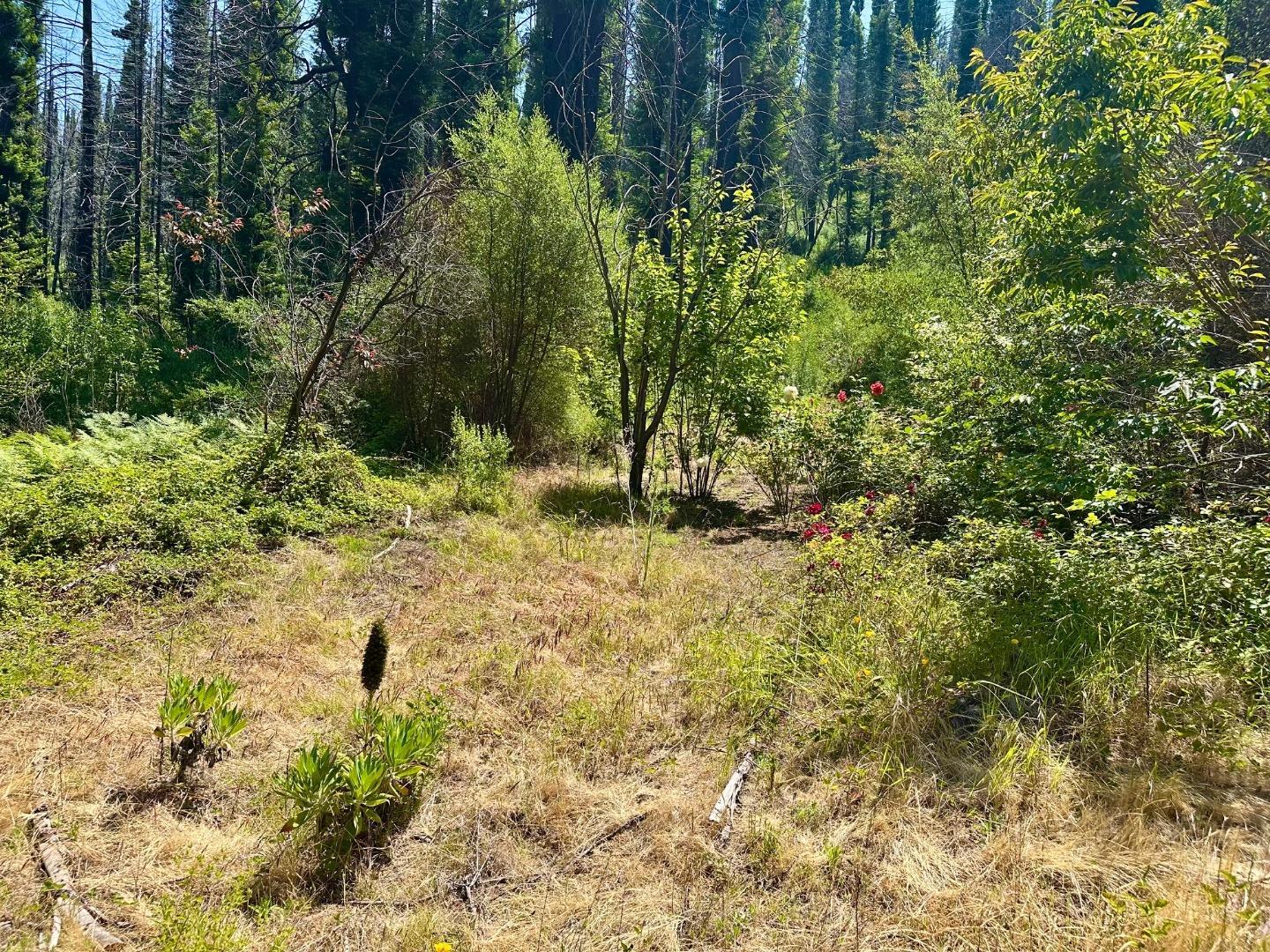 Property Photo:  678 Swanton Road  CA 95017 