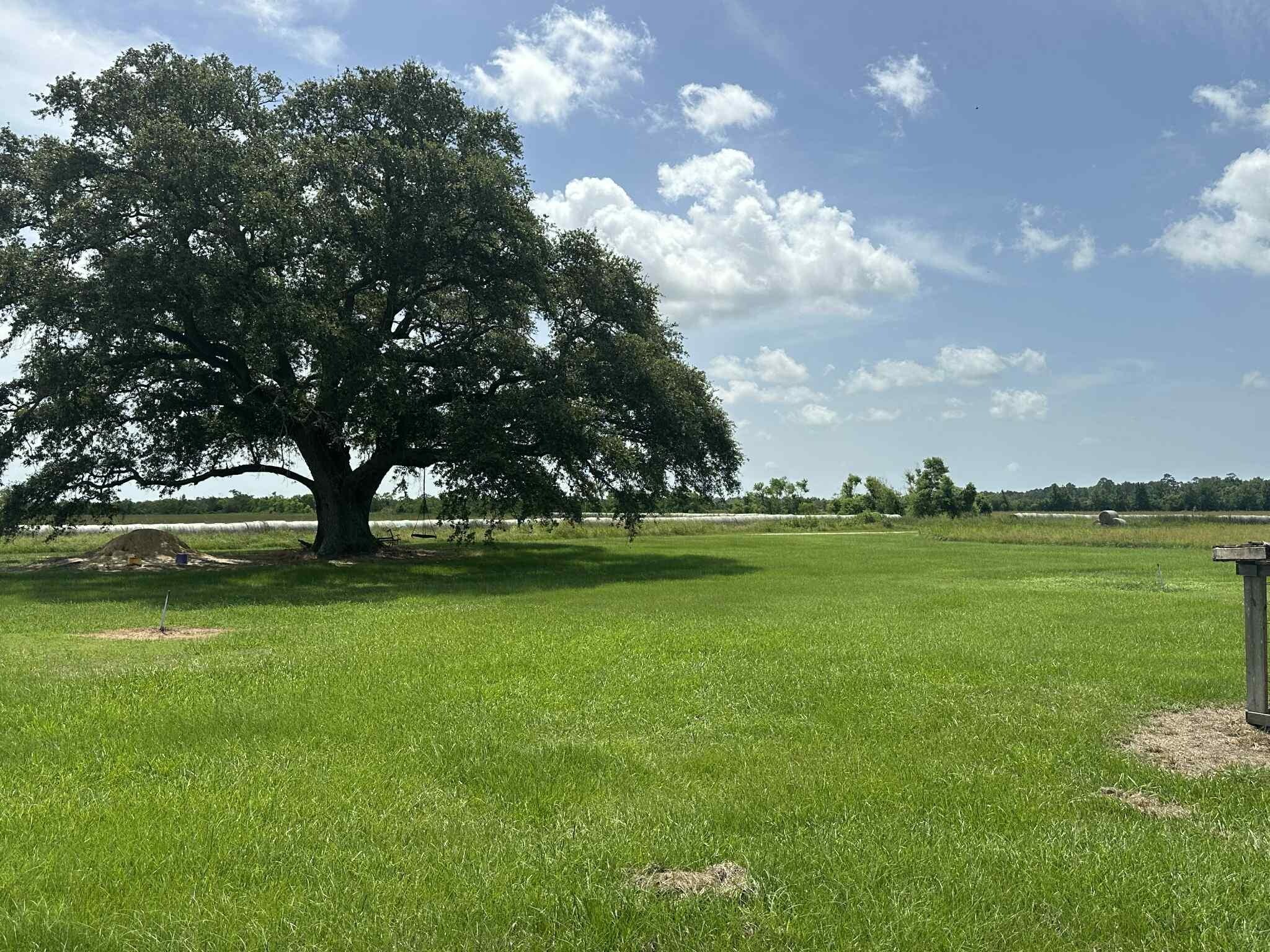 Property Photo: 21216 Highway 73 TX 77762
