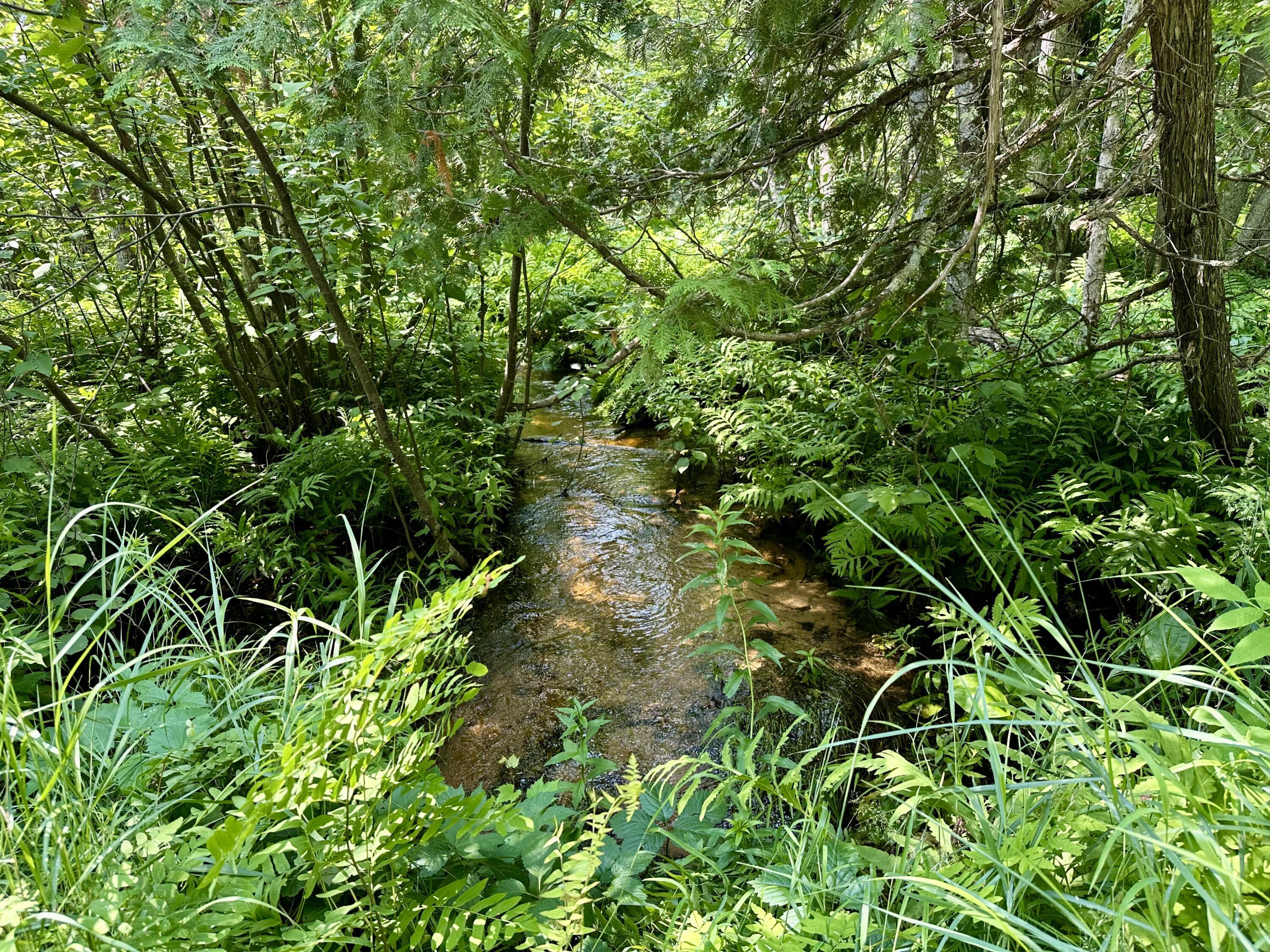 Property Photo: V/L Walsh Road MI 49721
