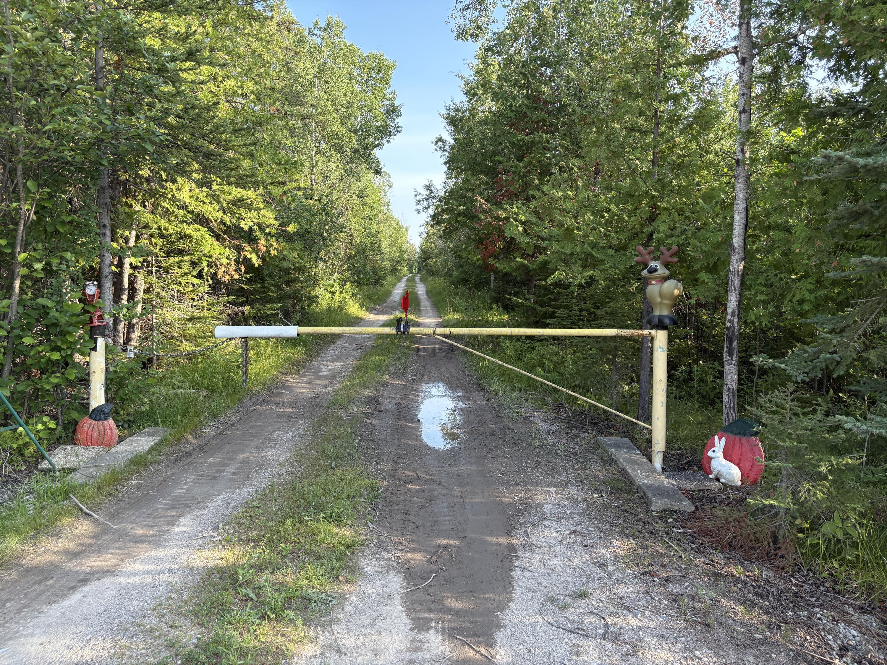 Property Photo: West Airport Highway MI 49779