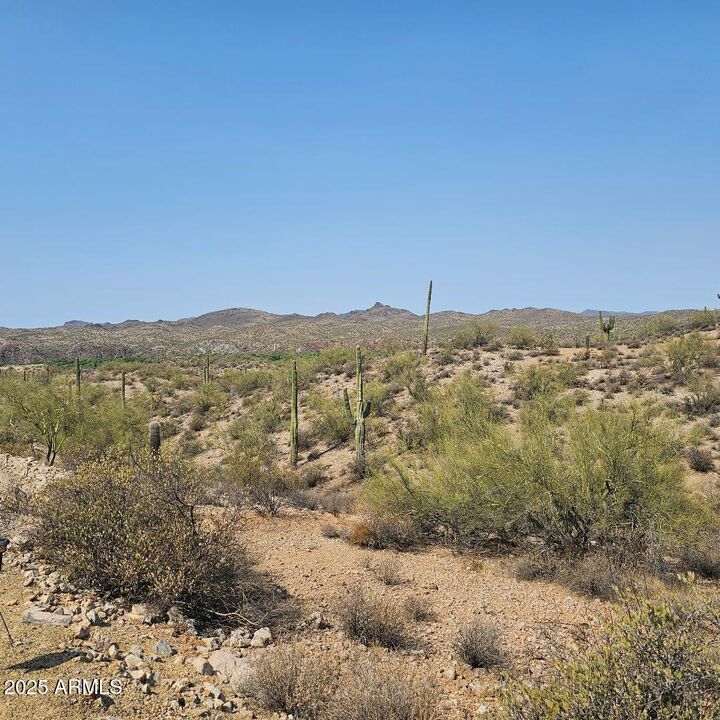 Property Photo:  5xxxx N 292nd Avenue 0  AZ 85390 