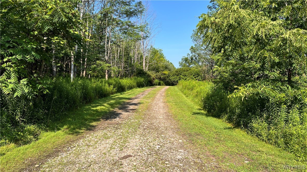 Property Photo: 7406 California Hill Road NY 14755