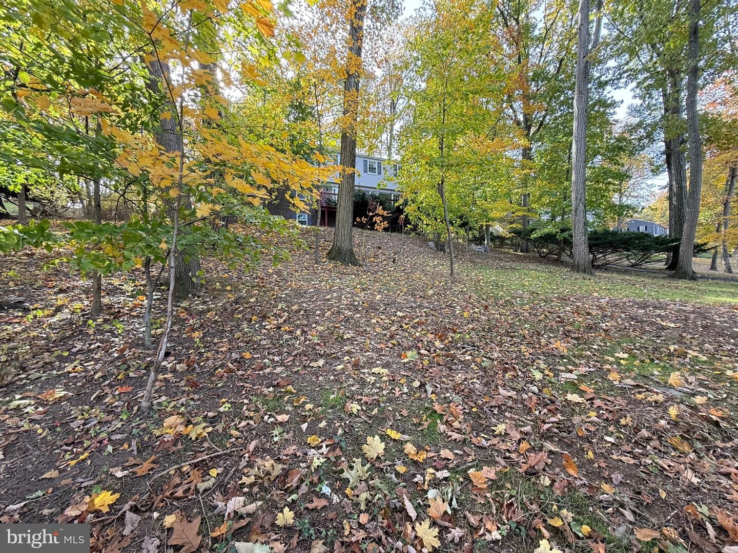 Property Photo:  1414 Morstein Road  PA 19380 