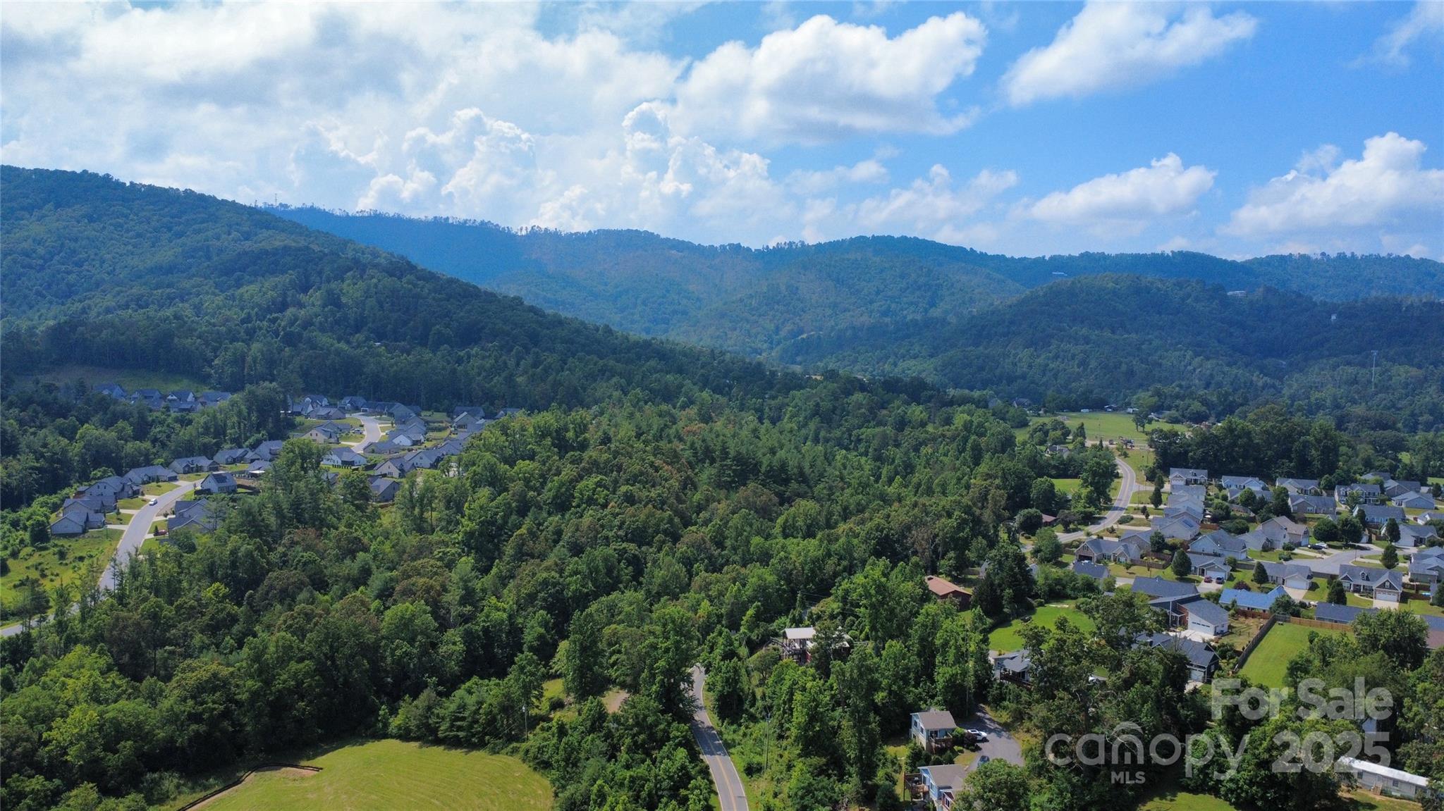 Property Photo: 612 Country Oak Drive NC 28804