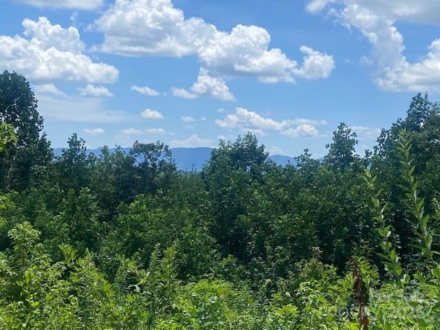 Property Photo: 0 Lemon Lane NC 28655
