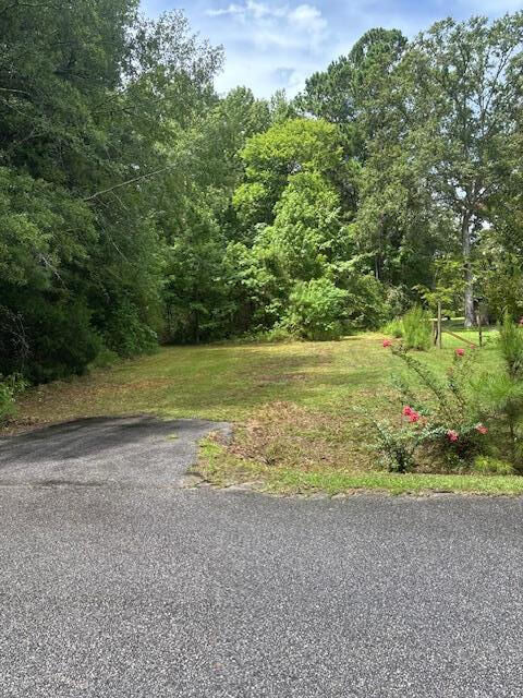 Property Photo: Tbd Rutledge Drive SC 29048