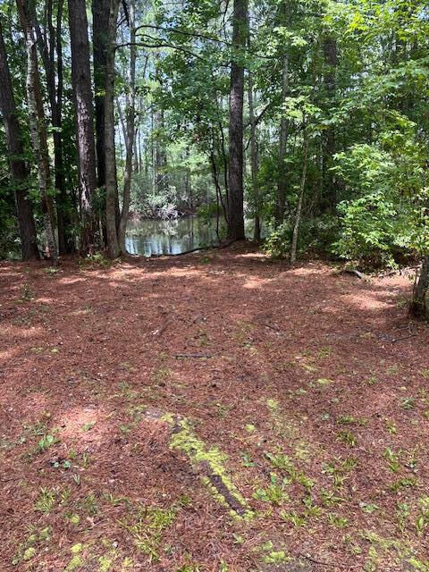 Property Photo:  00 Rutledge Drive  SC 29048 