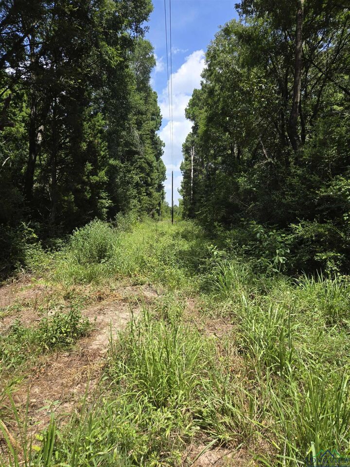 Property Photo: Tbd Cr 154 TX 75601