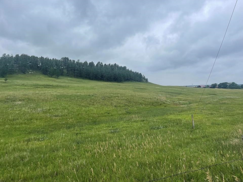 Property Photo: Tbd Murphy Rd SD 57744
