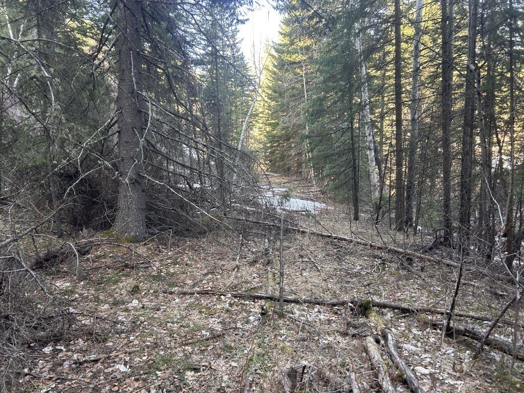 Property Photo:  Tbd  SD 57732 