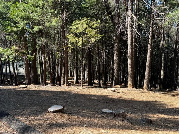 Property Photo:  5771 Lupin Lane  CA 95726 