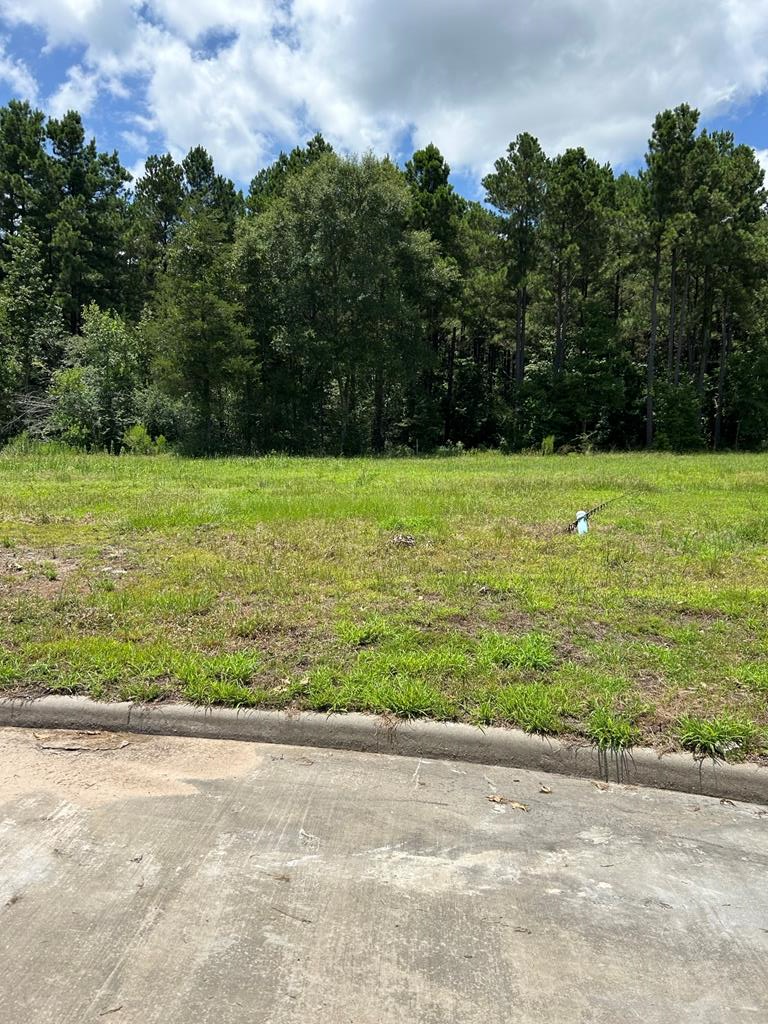 Property Photo:  R143739 Dena Kay Dr  TX 75904 