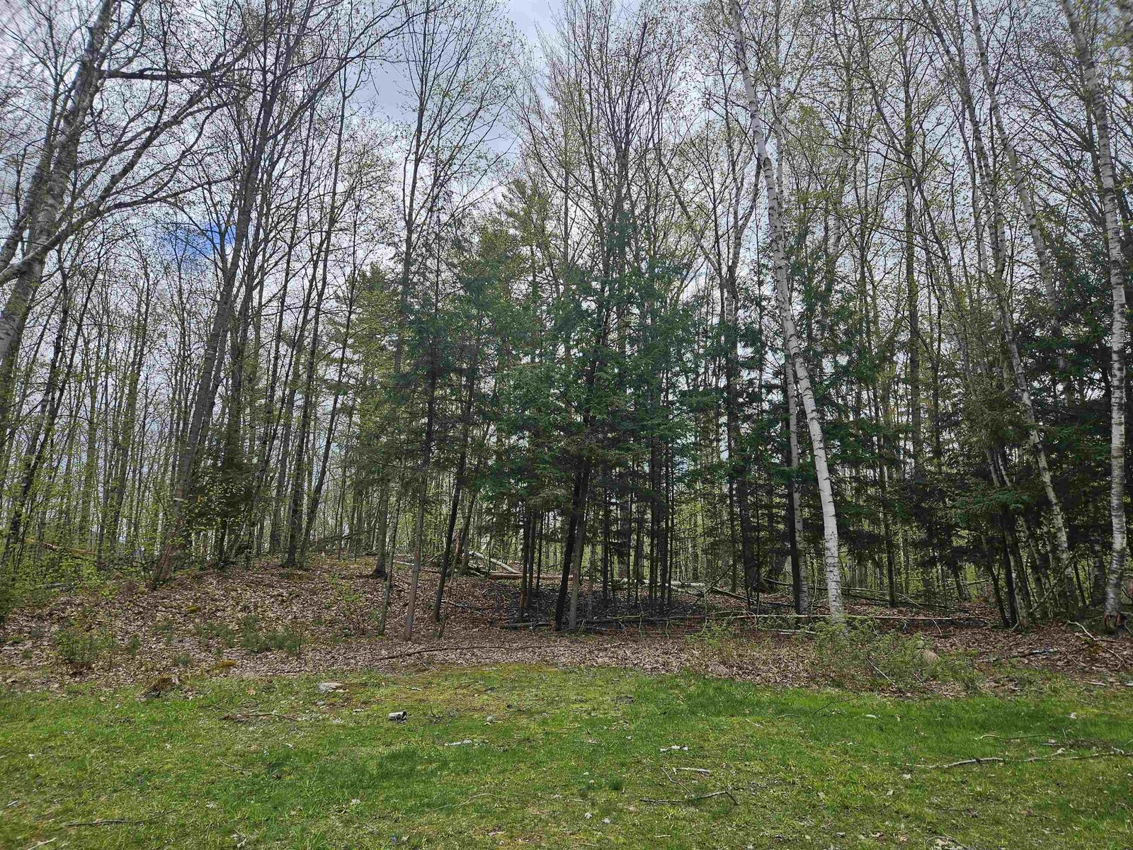 Property Photo: Lot 123 Paulsen Circle NH 03765