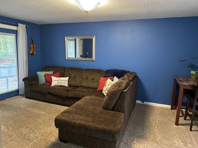 Property Photo:  525 Spruce Grove Lane NW  MN 56601 
