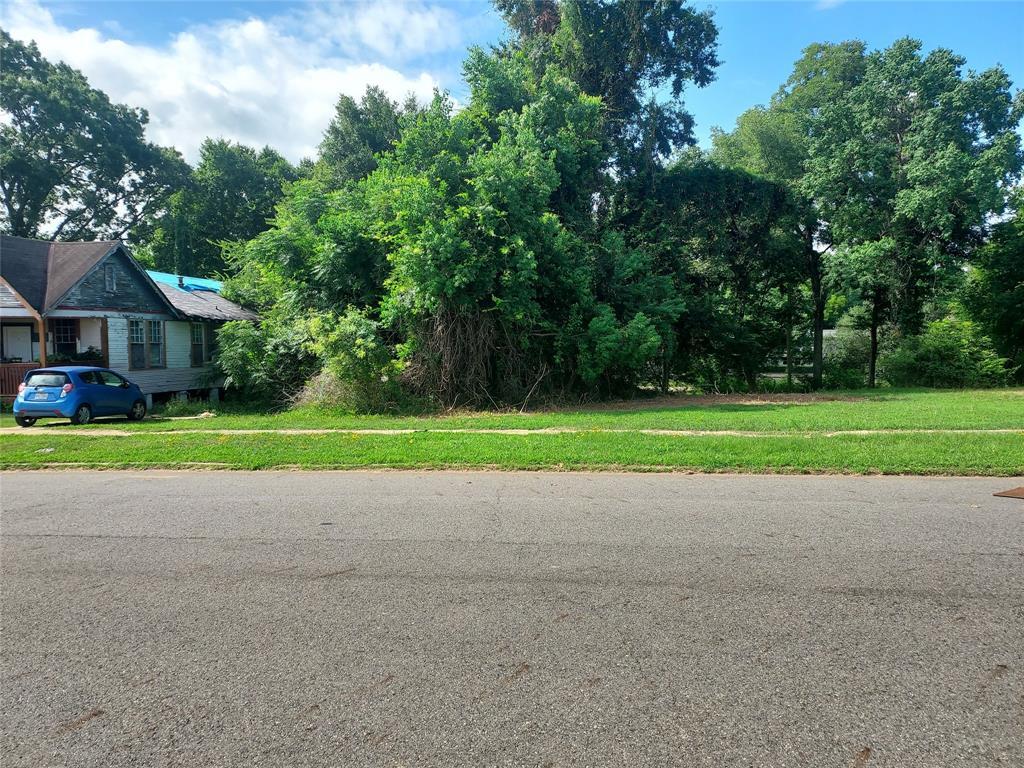 Property Photo:  229 Herndon Street  LA 71101 