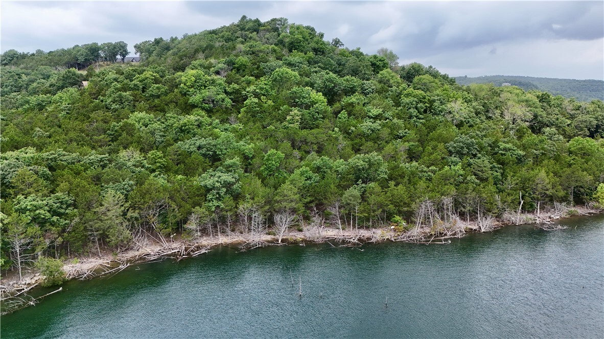 Property Photo:  Lots 8,9,10 Cedar Forest Drive  AR 72732 
