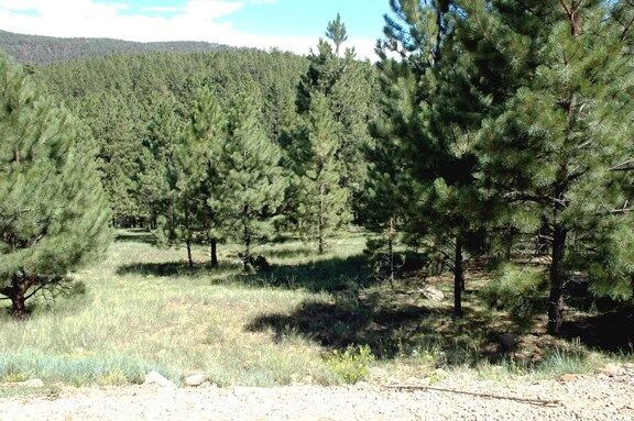 Property Photo:  Lot 1032 Woodlands Dr  NM 87710 