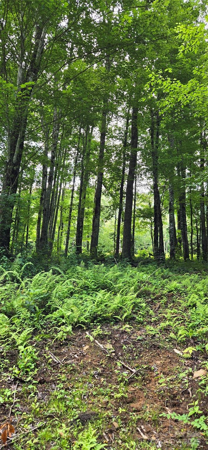Property Photo:  108 Tenderfoot Trail 108 &Amp 109  NC 28751 
